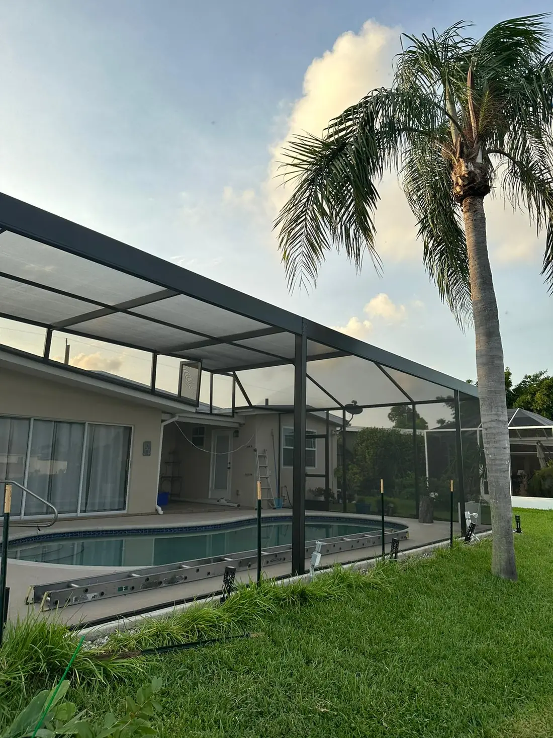 Pool enclosure with a palm tree and evening sky above a screened pool cage