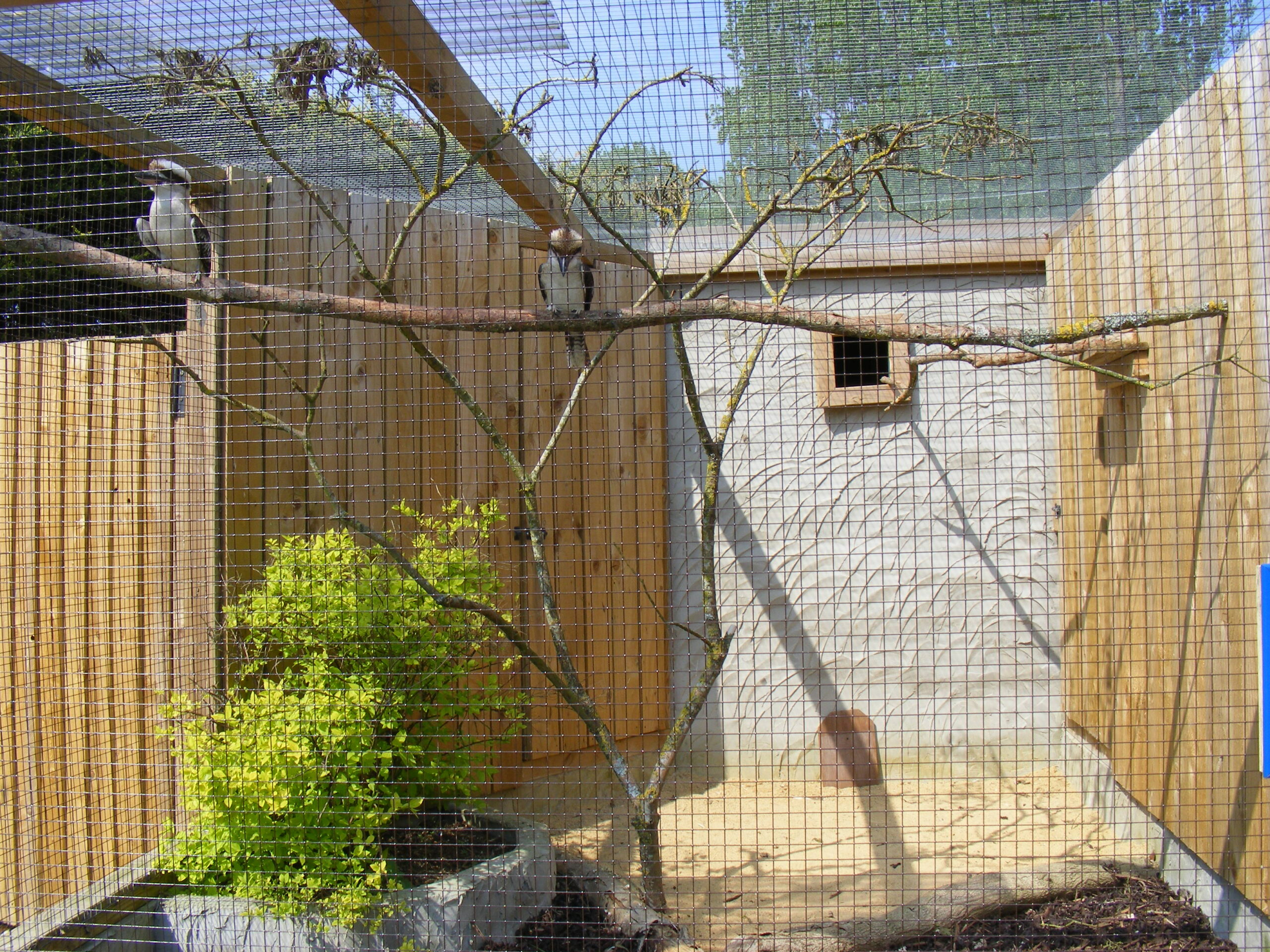 Residential Bird Cage Screen Enclosure