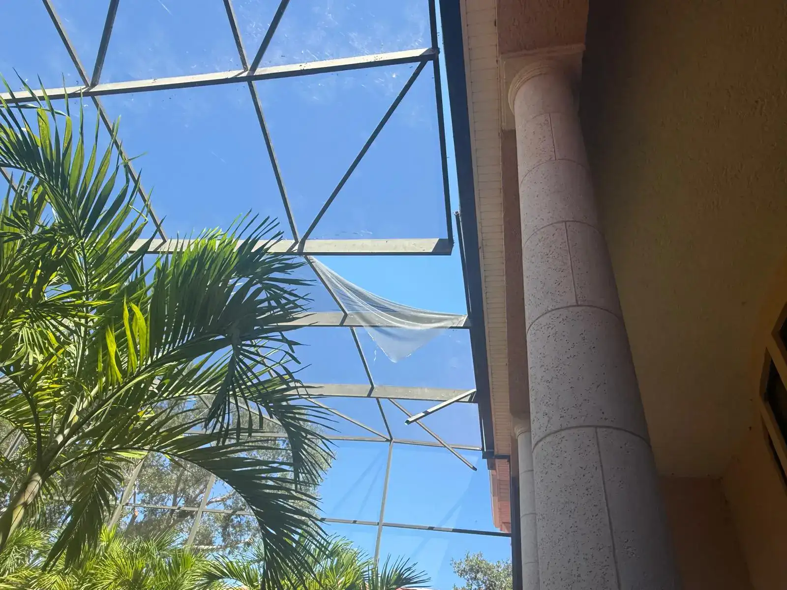 Pool cage with newly installed screen in Sarasota, Florida, surrounded by palm trees